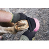 Chausson de soins pour chevaux Tubbease