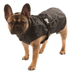 Manteau de pluie Forks pour chien