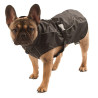 Manteau de pluie Forks pour chien