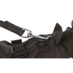 Manteau de pluie Forks pour chien