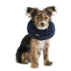 Collerette pour chien gonflable