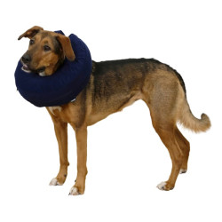 Collerette pour chien gonflable