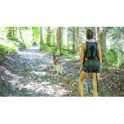 Baudrier Style I-Dog, Ceinture de Canicross