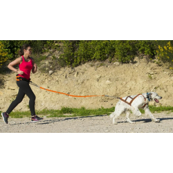 Harnais Canicross X-Back One I-Dog Orange