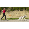Harnais Canicross X-Back One I-Dog Orange