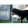 Jeu fontaine pour chien Bubble