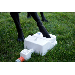 Jeu fontaine pour chien Bubble
