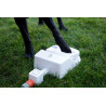 Jeu fontaine pour chien Bubble