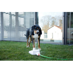 Jeu fontaine pour chien Bubble