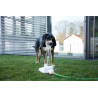 Jeu fontaine pour chien Bubble
