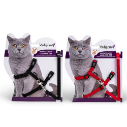 Harnais + laisse pour chat...