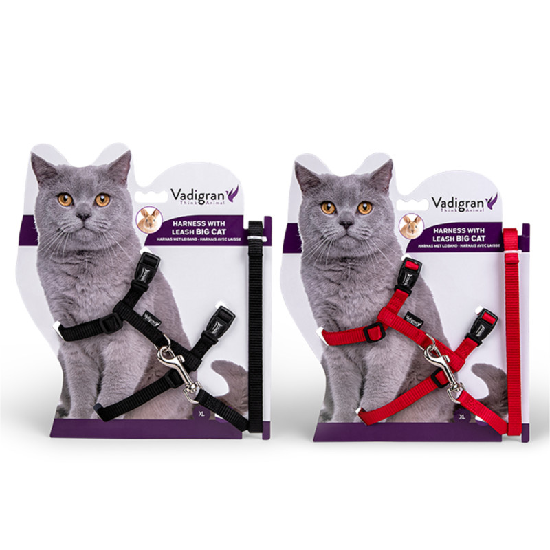 Harnais + laisse pour chat de grande taille