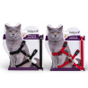 Harnais + laisse pour chat de grande taille