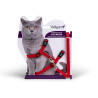 Harnais + laisse pour chat de grande taille