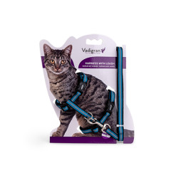 Harnais + laisse chat Reflect