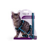 Harnais + laisse chat Reflect