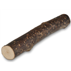 Batons de noisetiers 15 cm (3 pièces)