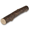 Batons de noisetiers 15 cm (3 pièces)