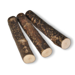 Batons de noisetiers 15 cm (3 pièces)