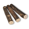 Batons de noisetiers 15 cm (3 pièces)