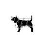 Tee Shirt post opératoire chien mâle