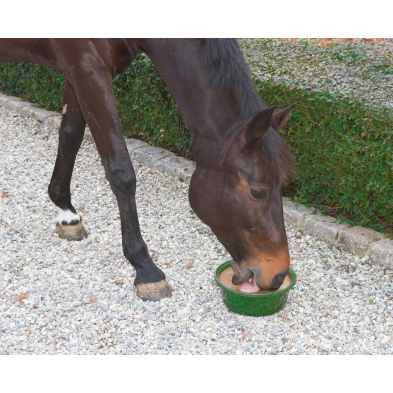 Delizia® Bloc à lécher Bronchial