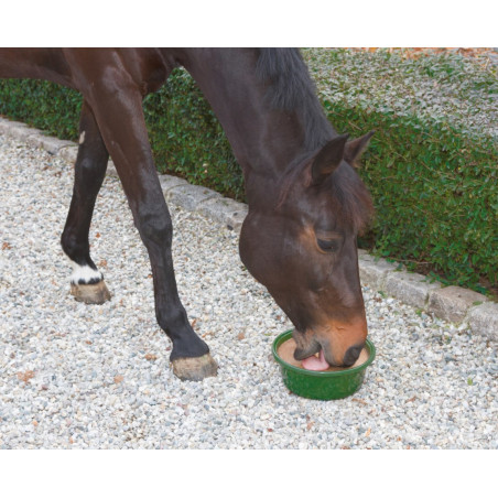 Delizia® Bloc à lécher Bronchial
