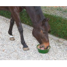 Delizia® Bloc à lécher Bronchial