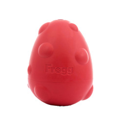 Frogg Oeuf caoutchouc pour chien