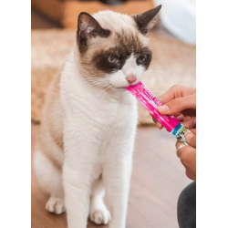 Creamy Cat Treats au poulet et au saumon, snack crémeux