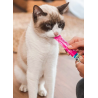 Creamy Cat Treats au poulet et au saumon, snack crémeux