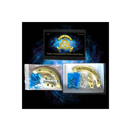Trinity Horseshoes KC Lapierre