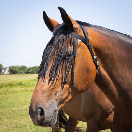 Frontal chasse mouche Comfort+ sous gorge intégrée