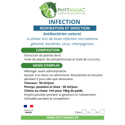 Phytanimo Infection