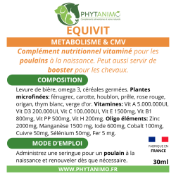 Phytanimo Equivit