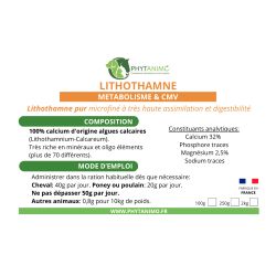 Phytanimo Lithothamne