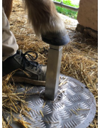 L'équipement de protection du pédicure podologue équin