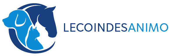 Lecoindesanimo